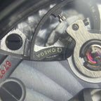 Omega Seahorse Series 45.5 215.92.46.22.01.002