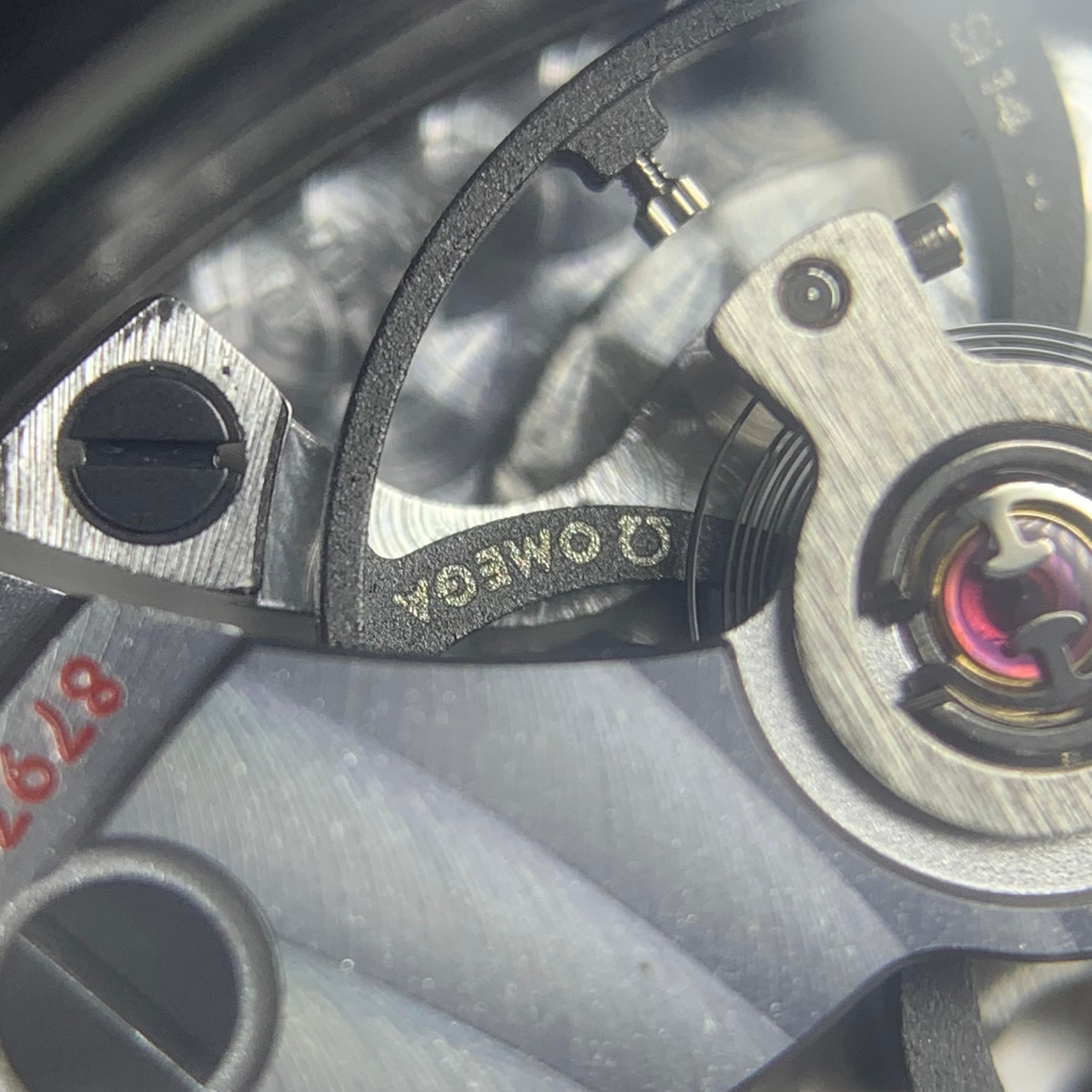 Omega Seahorse Series 45.5 215.92.46.22.01.002