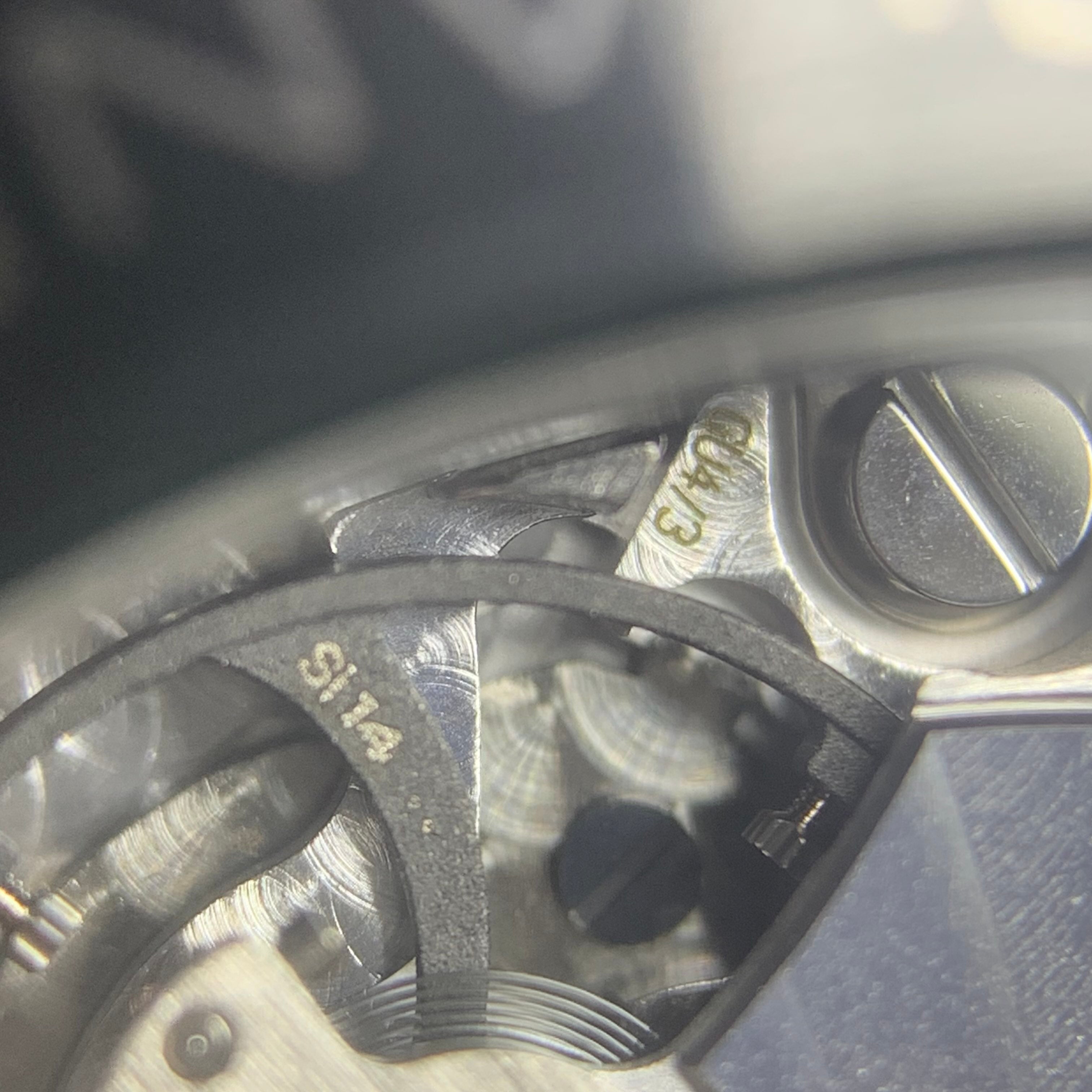 Omega Seahorse Series 45.5 215.92.46.22.01.002