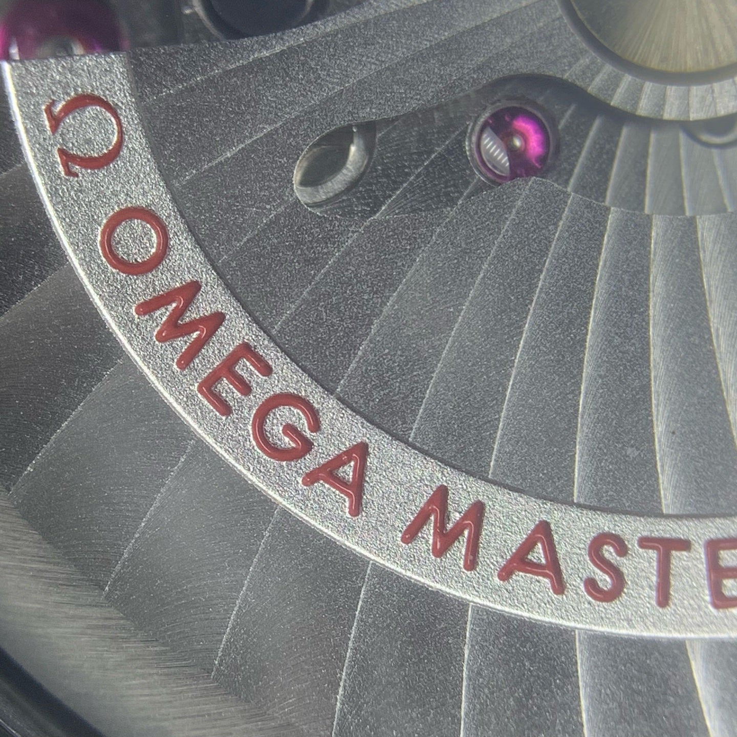 Omega Seahorse Series 45.5 215.92.46.22.01.002