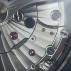 Omega Seahorse Series 45.5 215.92.46.22.01.002