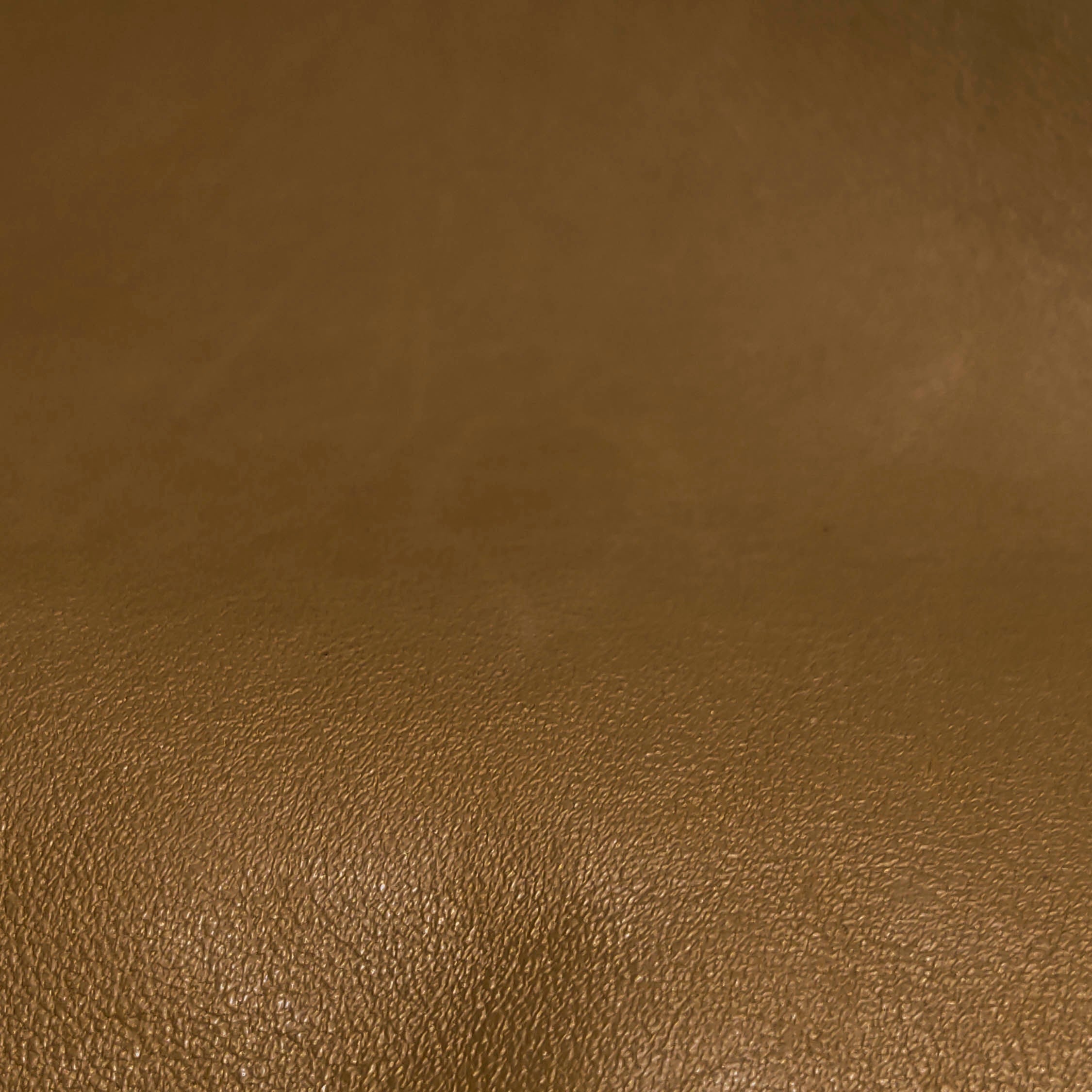 Bottega Veneta Shoulder Bag 620230-VCP40-7729