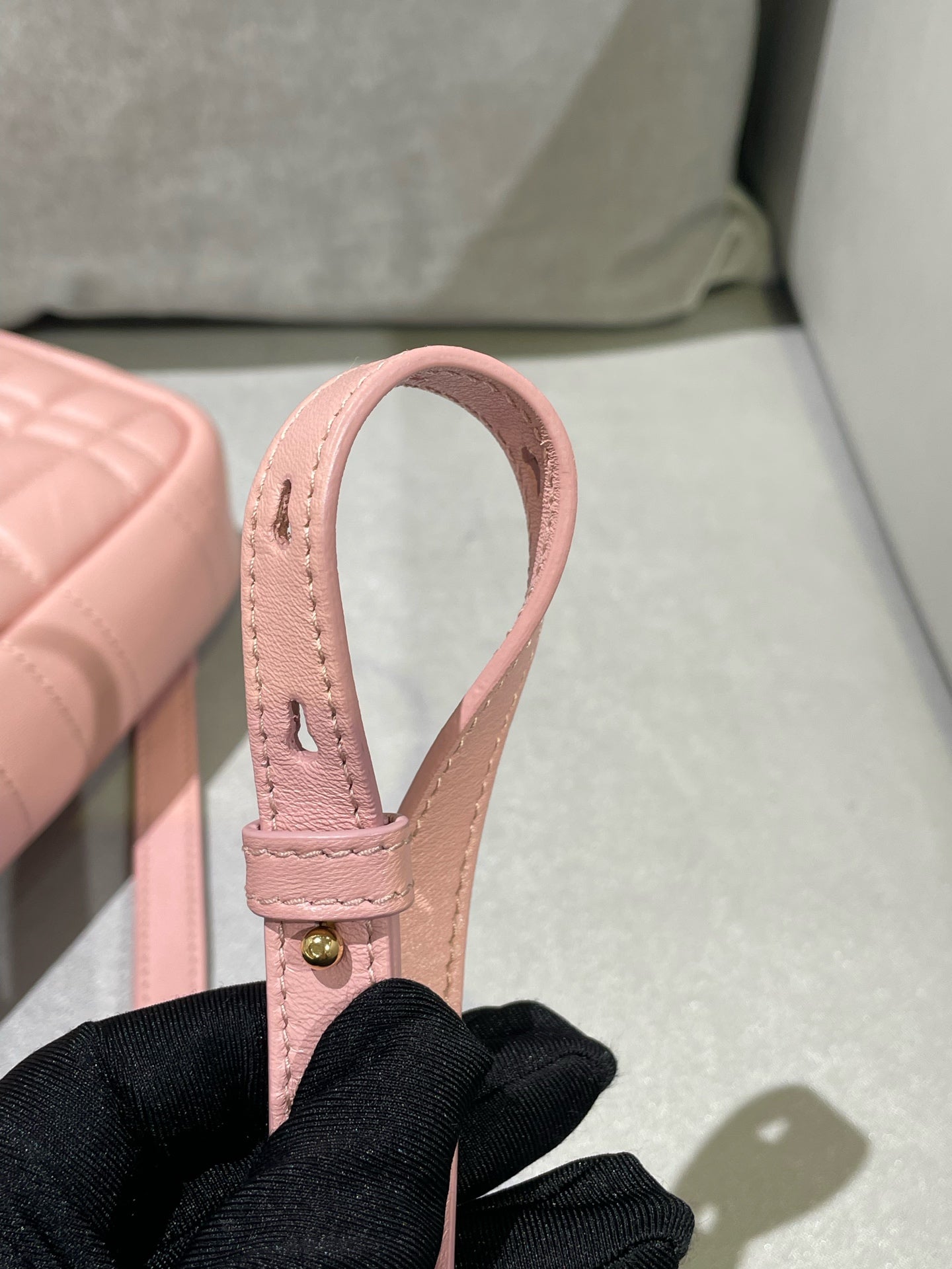 Burberry Lola Small Camera Bag Pink Crossbody 80630211