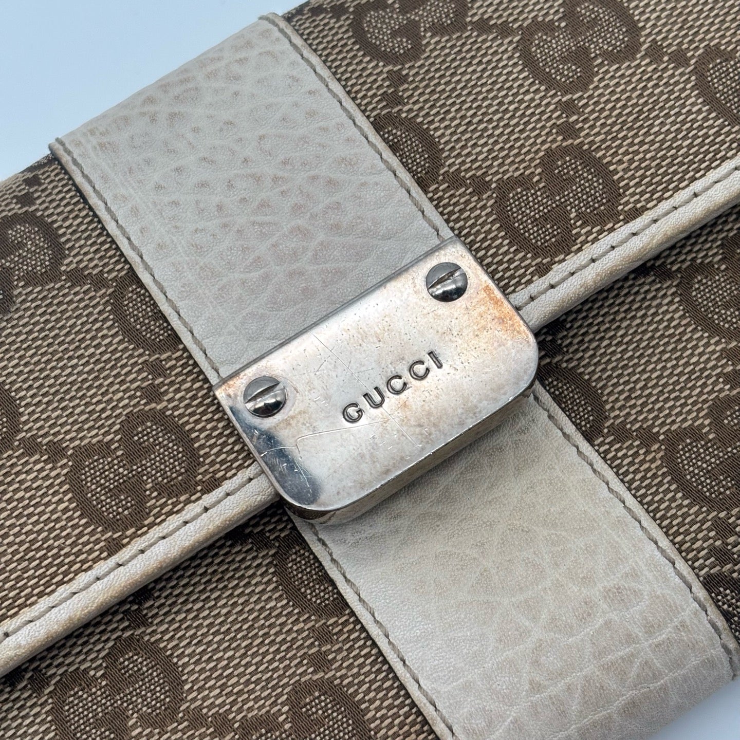 Gucci Canvas