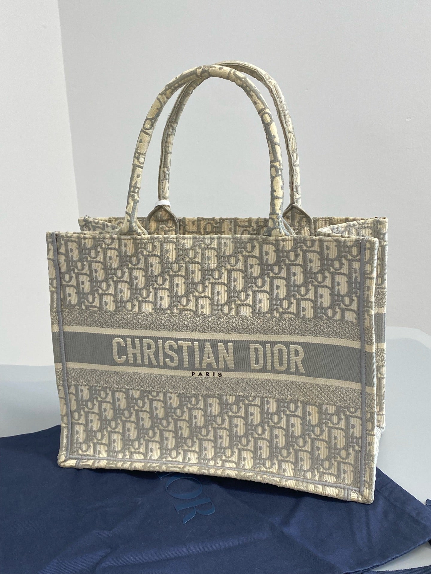 Dior Gray Tote M1296ZRIW_M932