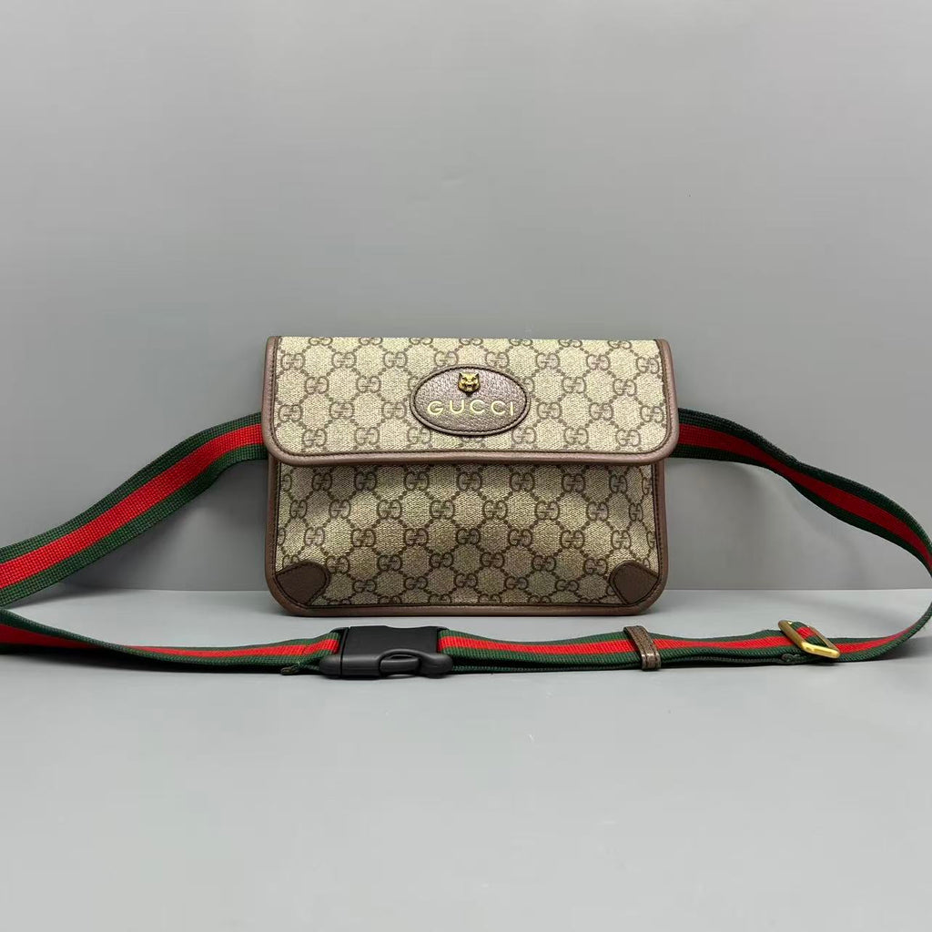 Gucci Belt Bag & Fanny Pack