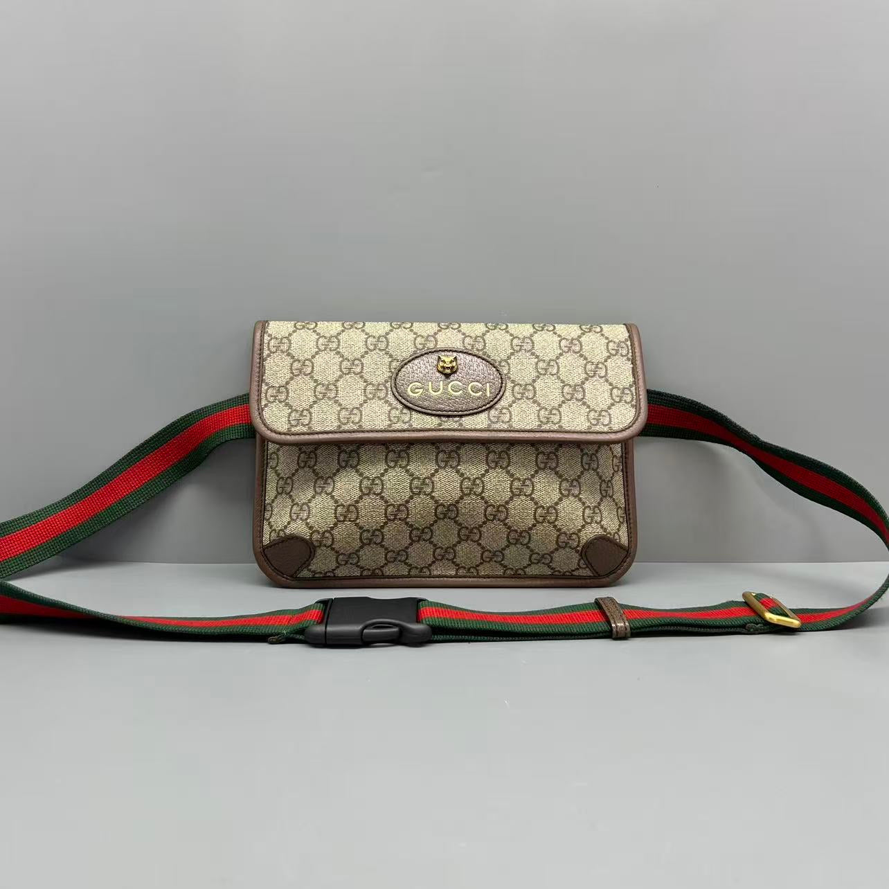 Gucci Belt Bag & Fanny Pack