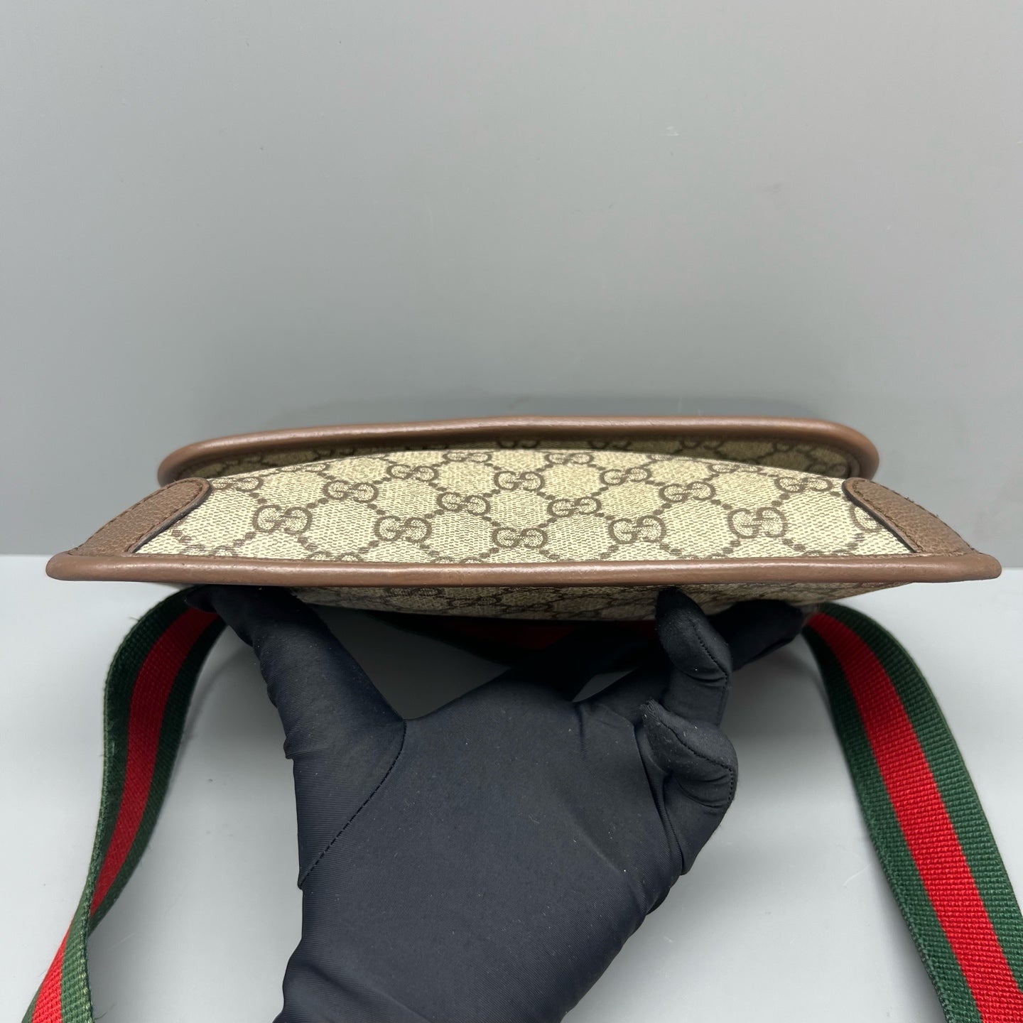 Gucci Belt Bag & Fanny Pack