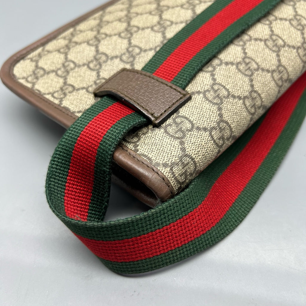 Gucci Belt Bag & Fanny Pack