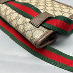 Gucci Belt Bag & Fanny Pack