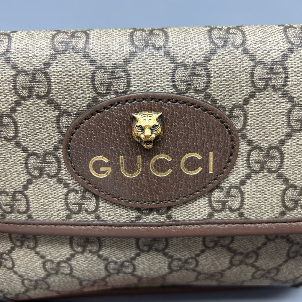 Gucci Belt Bag & Fanny Pack