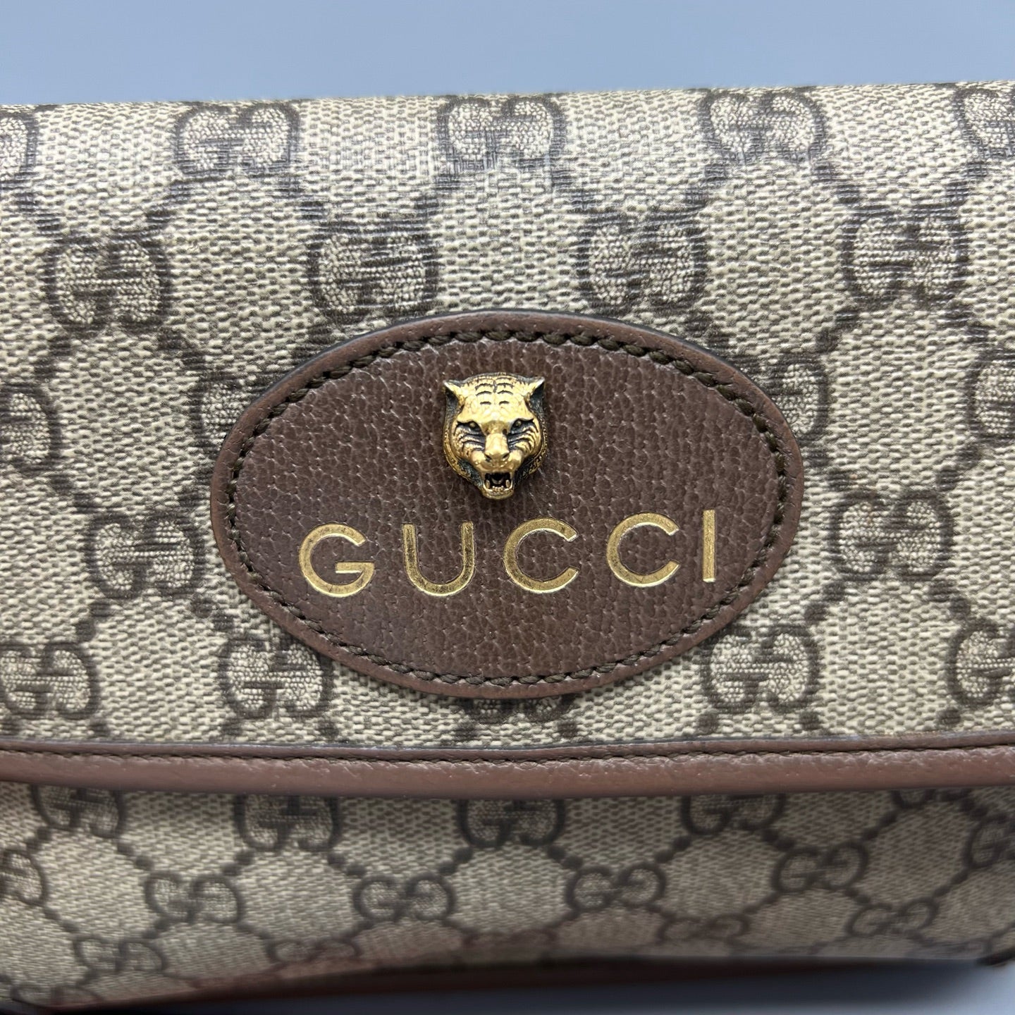 Gucci Belt Bag & Fanny Pack