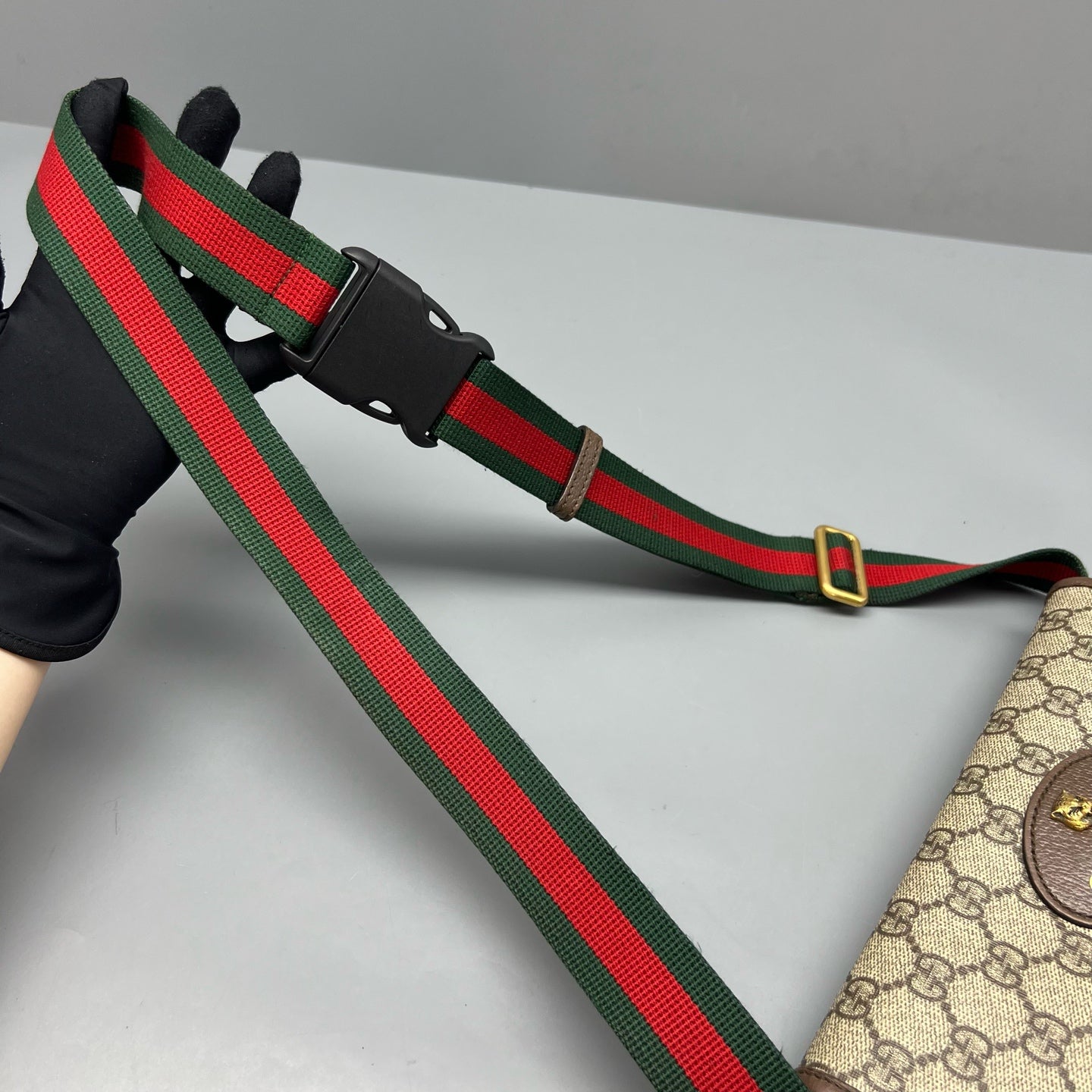 Gucci Belt Bag & Fanny Pack