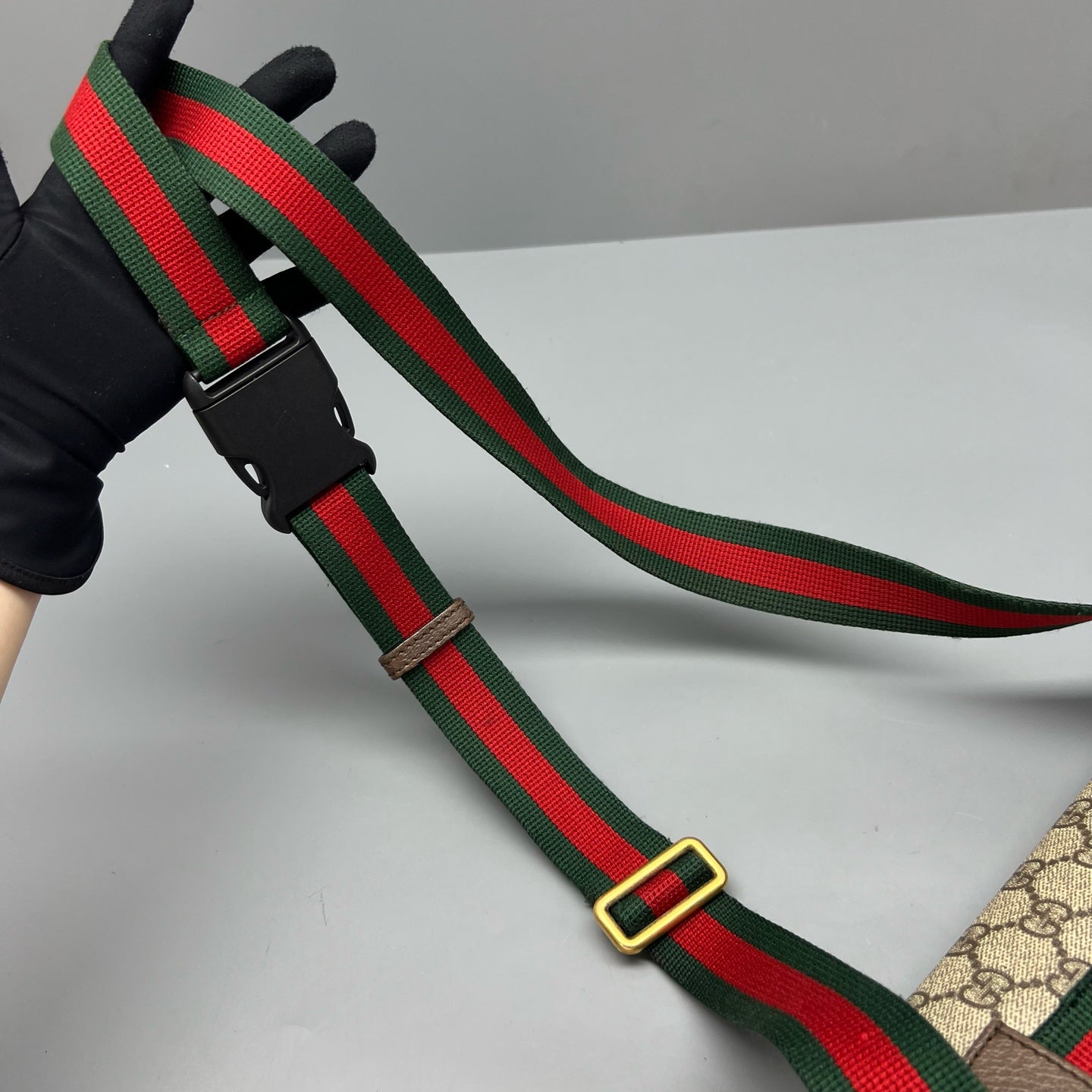 Gucci Belt Bag & Fanny Pack