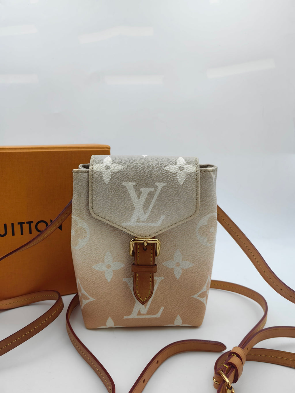 Louis Vuitton Backpack