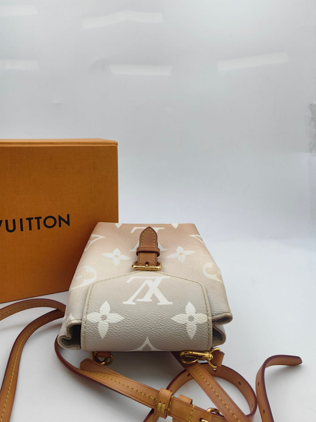 Louis Vuitton Backpack