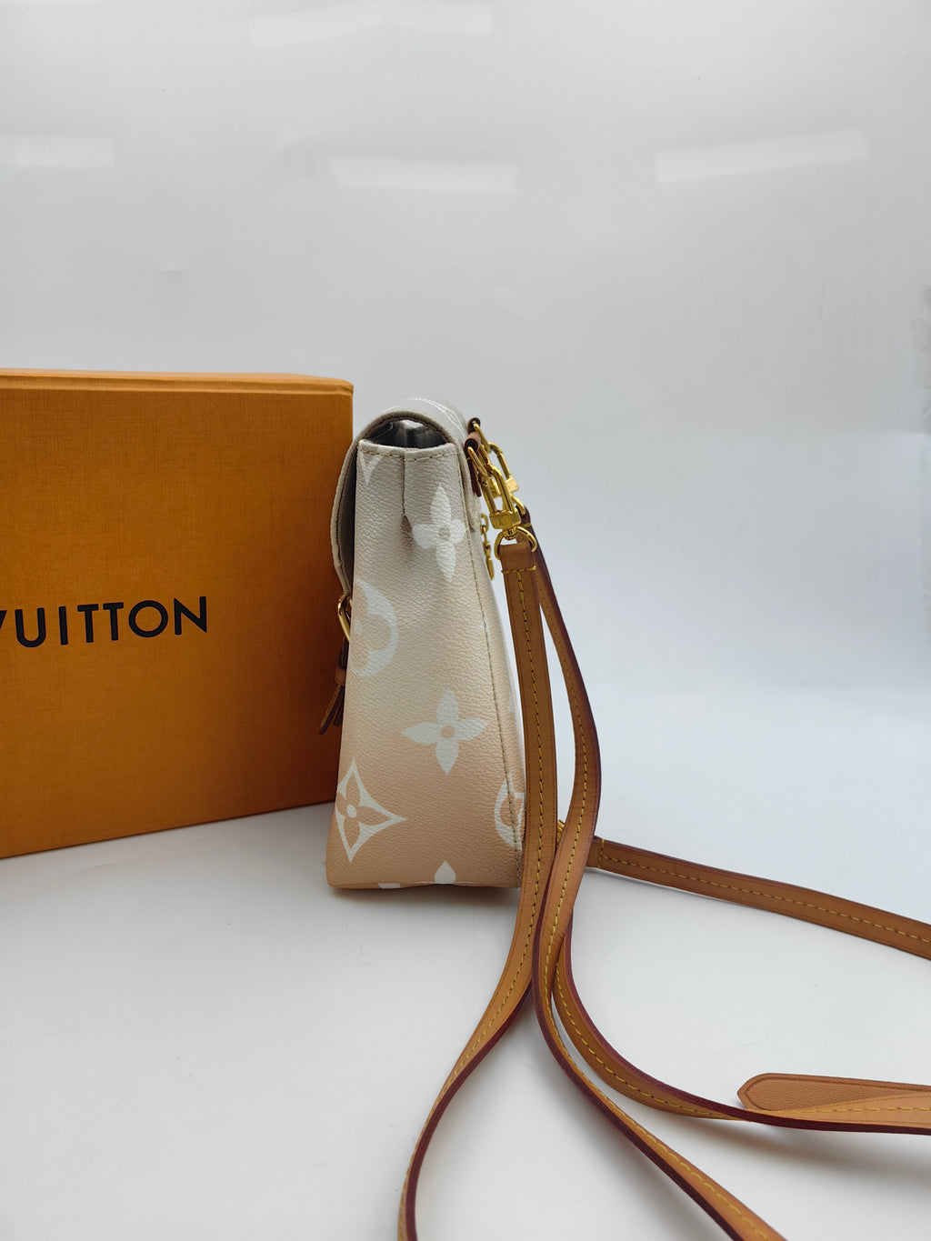 Louis Vuitton Backpack