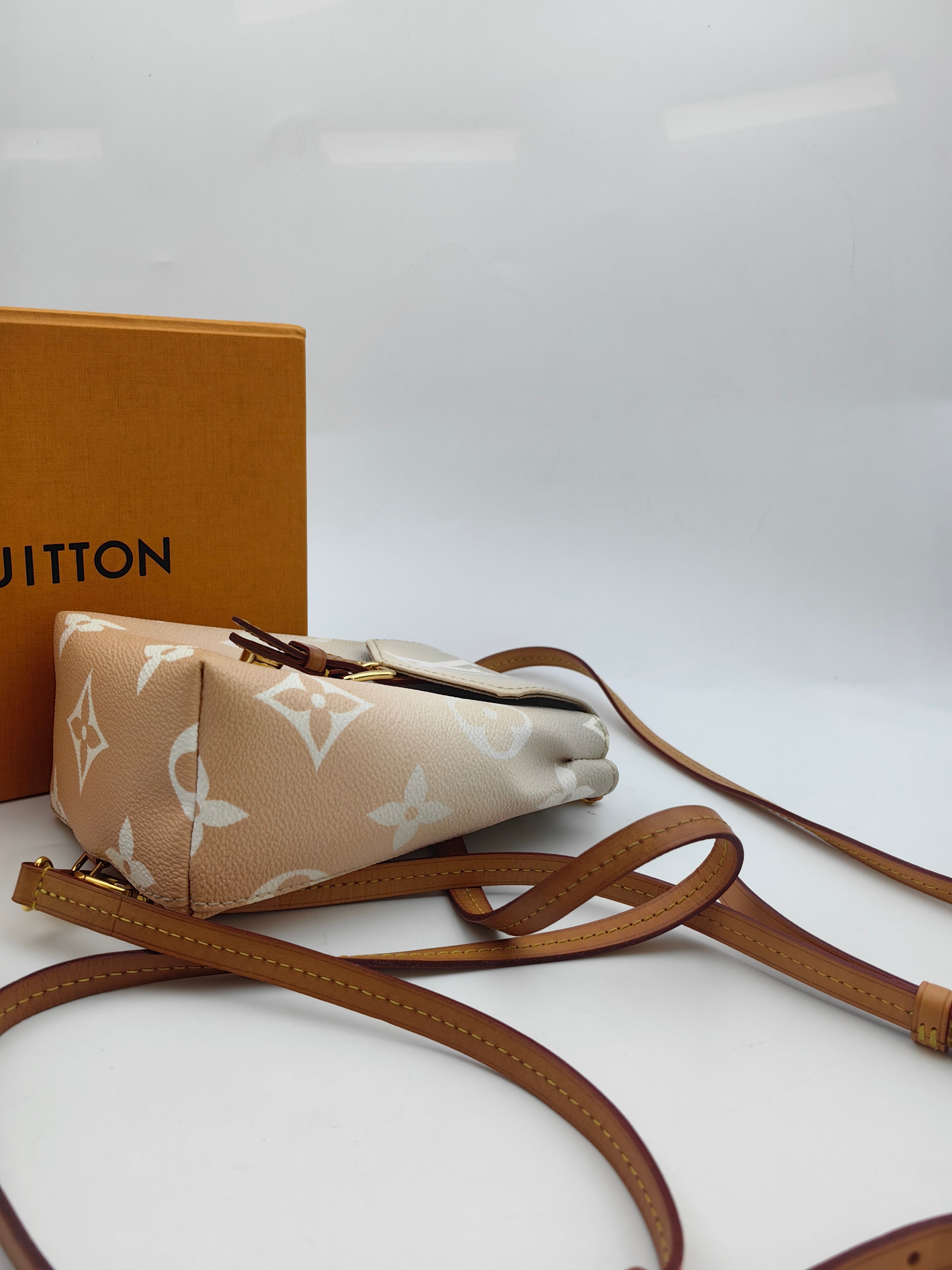 Louis Vuitton Backpack