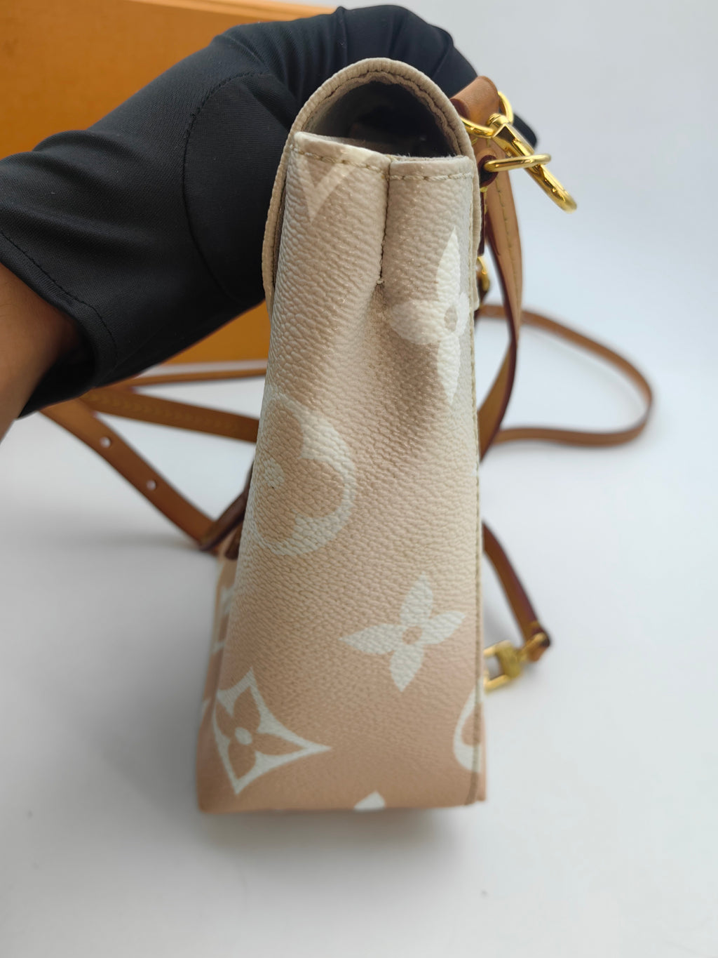 Louis Vuitton Backpack