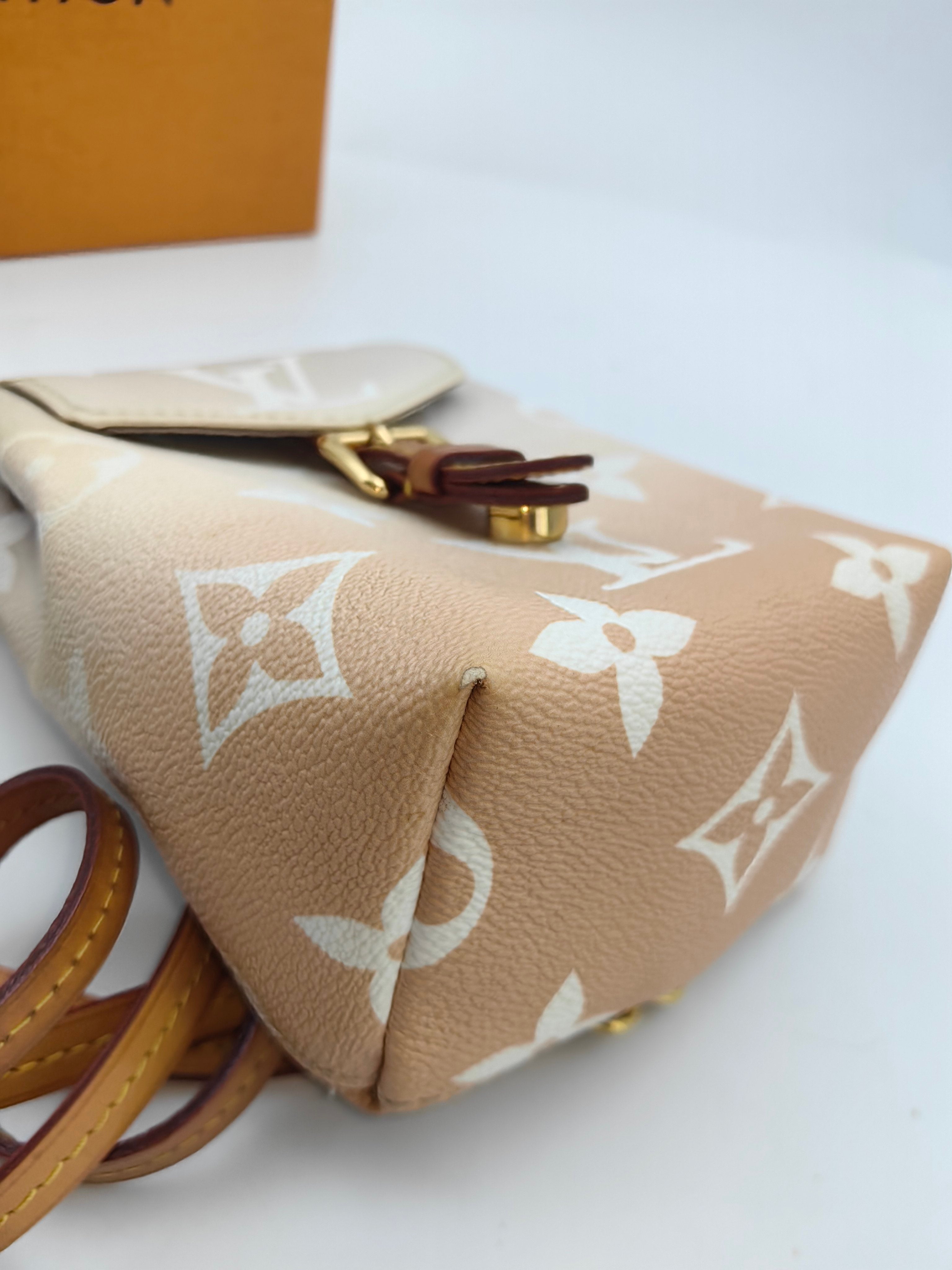 Louis Vuitton Backpack