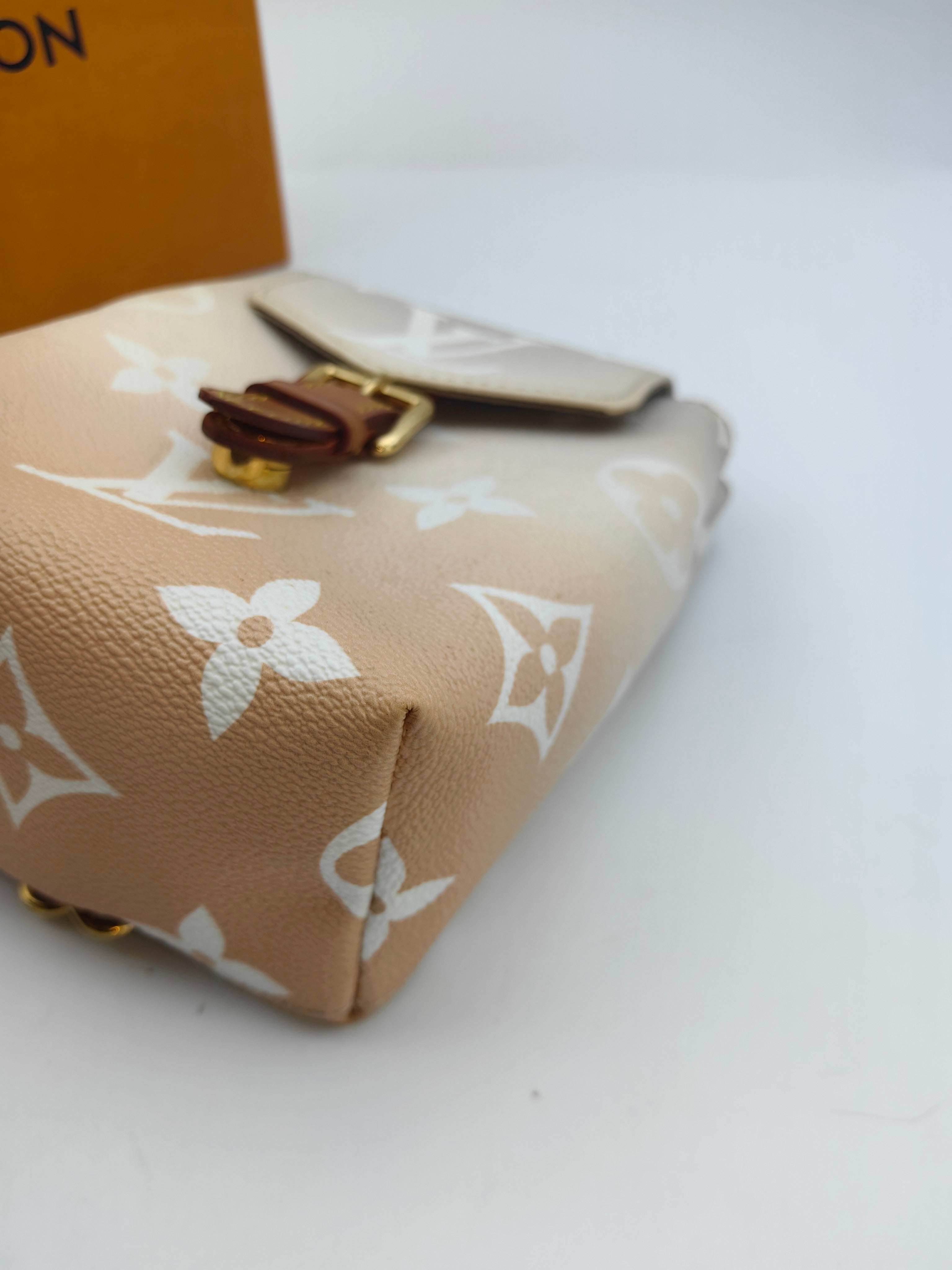 Louis Vuitton Backpack