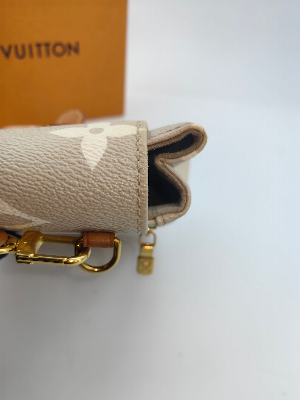 Louis Vuitton Backpack