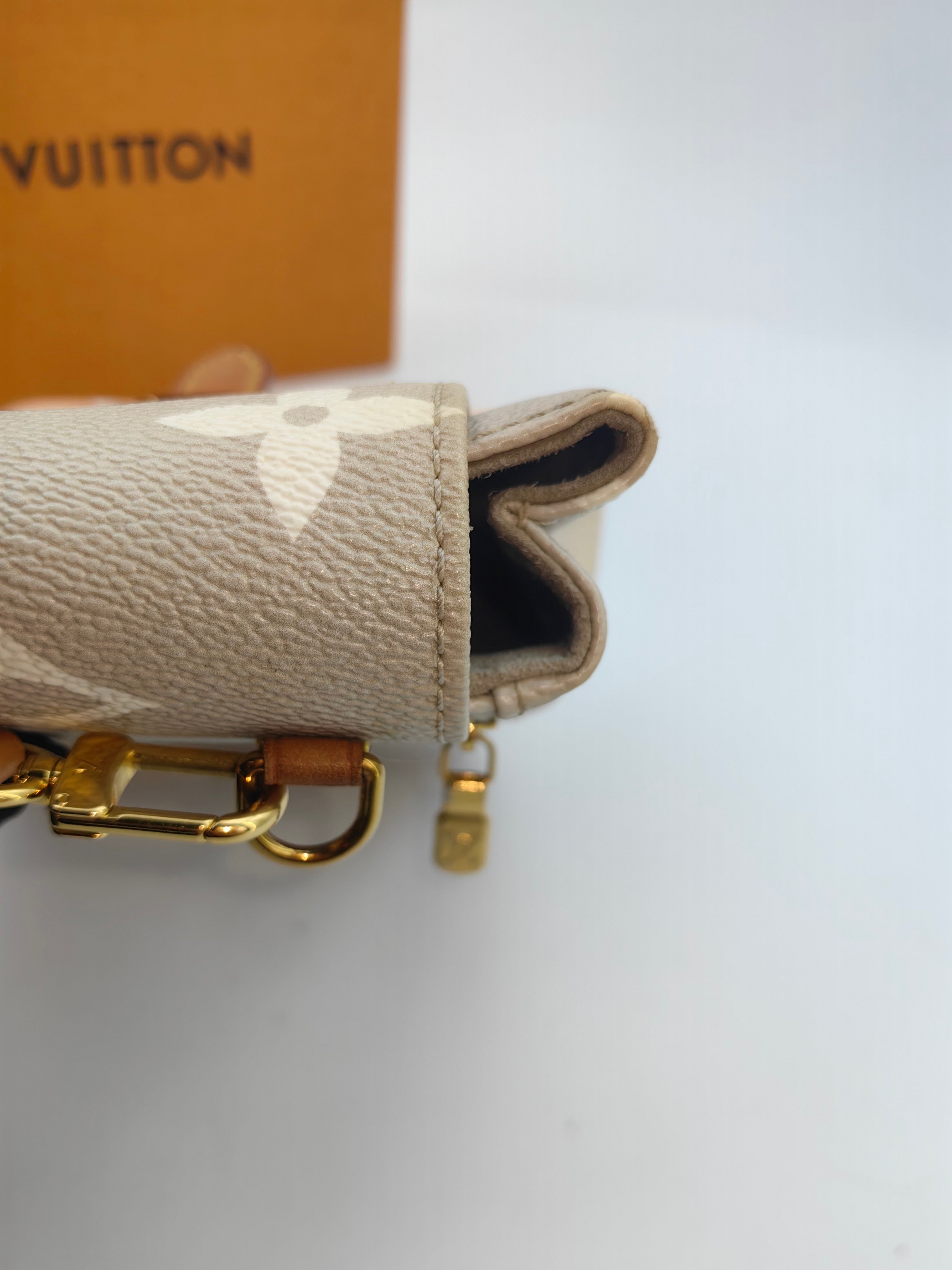 Louis Vuitton Backpack