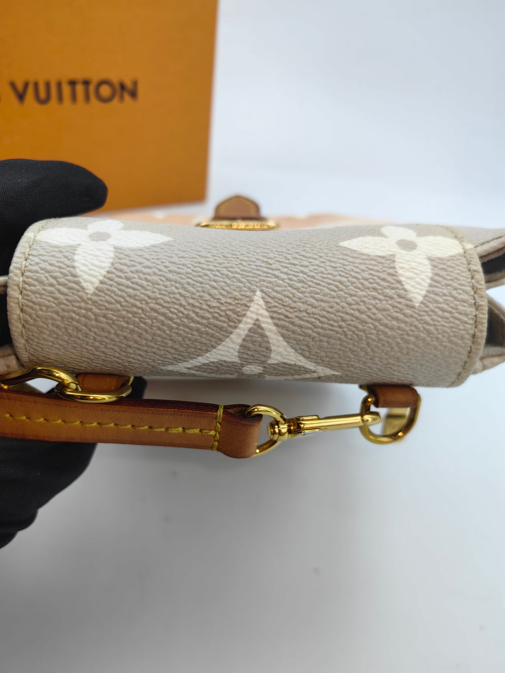 Louis Vuitton Backpack
