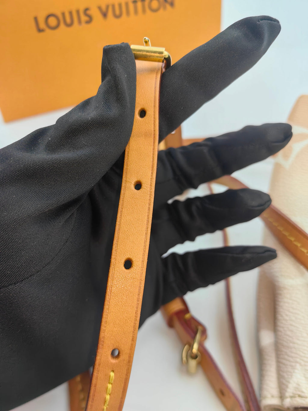 Louis Vuitton Backpack