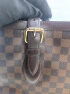 Louis Vuitton Brown Shoulder Bag