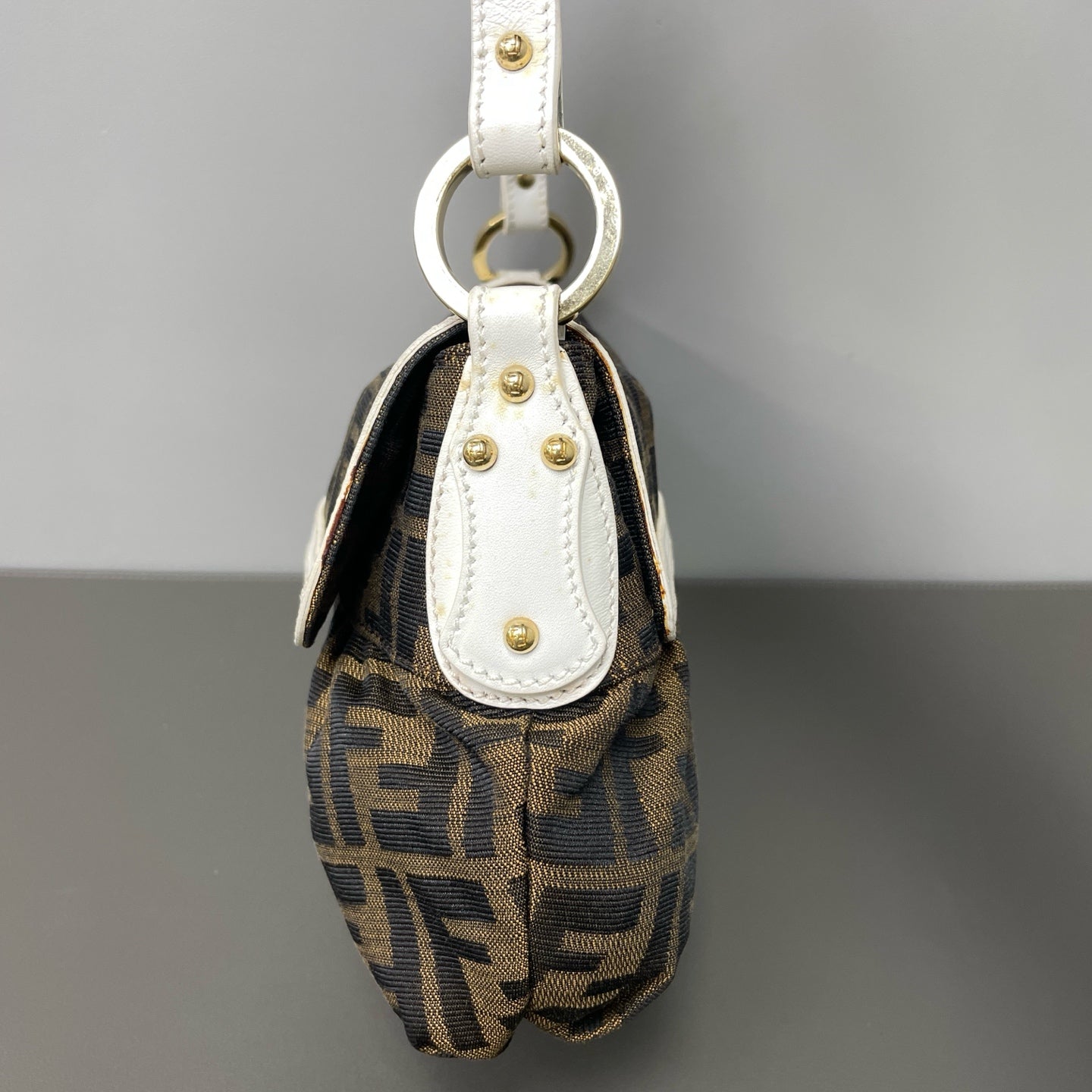 Fendi Canvas