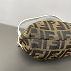 Fendi Canvas