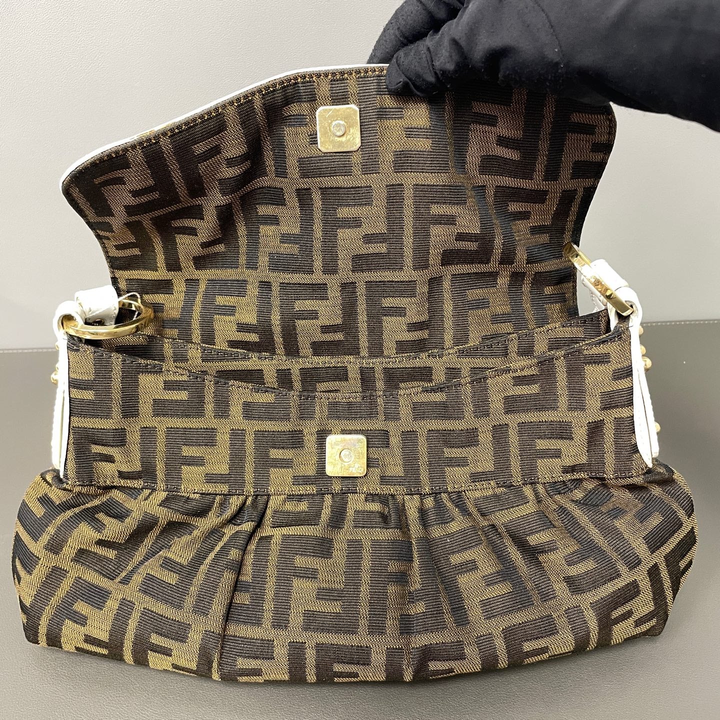 Fendi Canvas