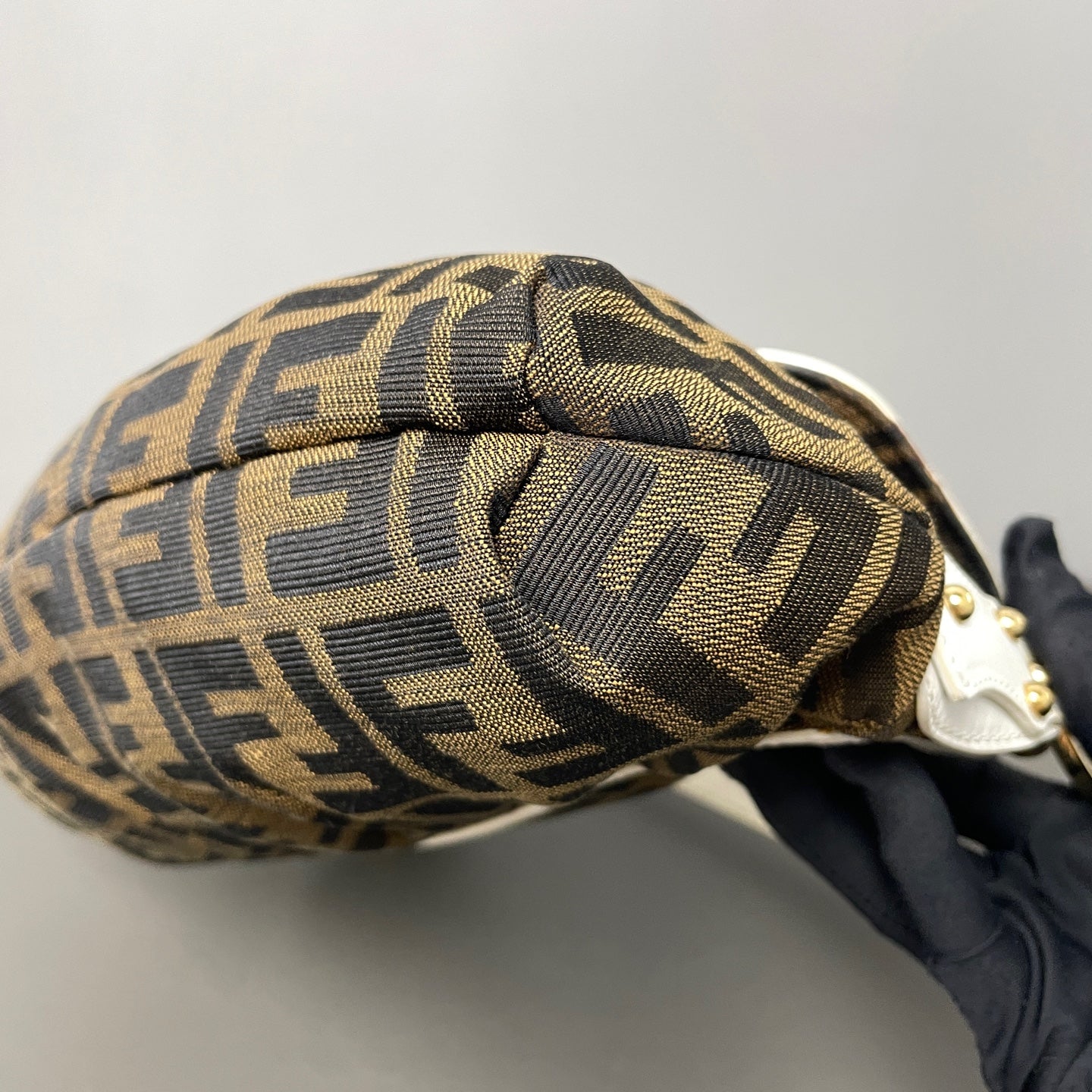 Fendi Canvas