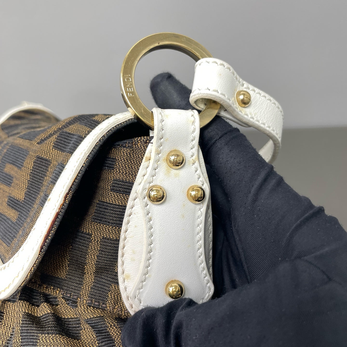 Fendi Canvas