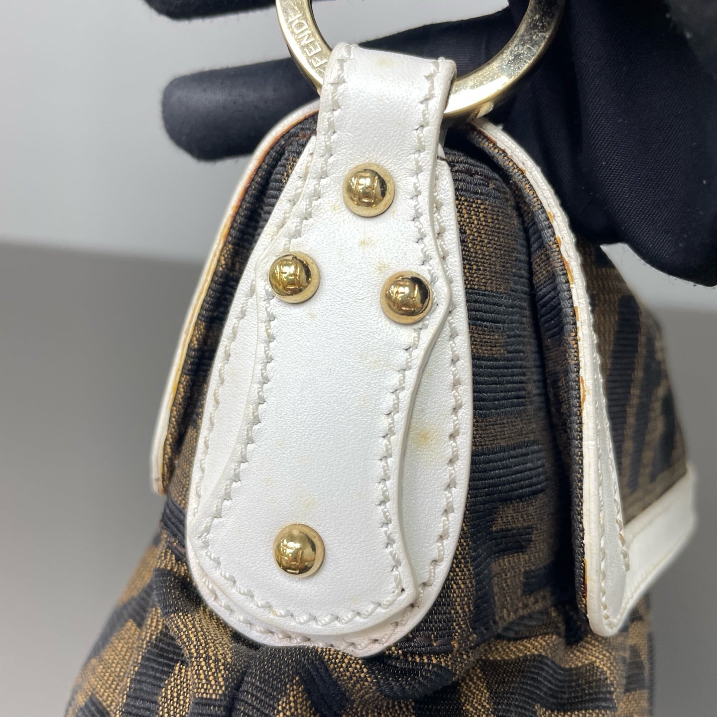 Fendi Canvas