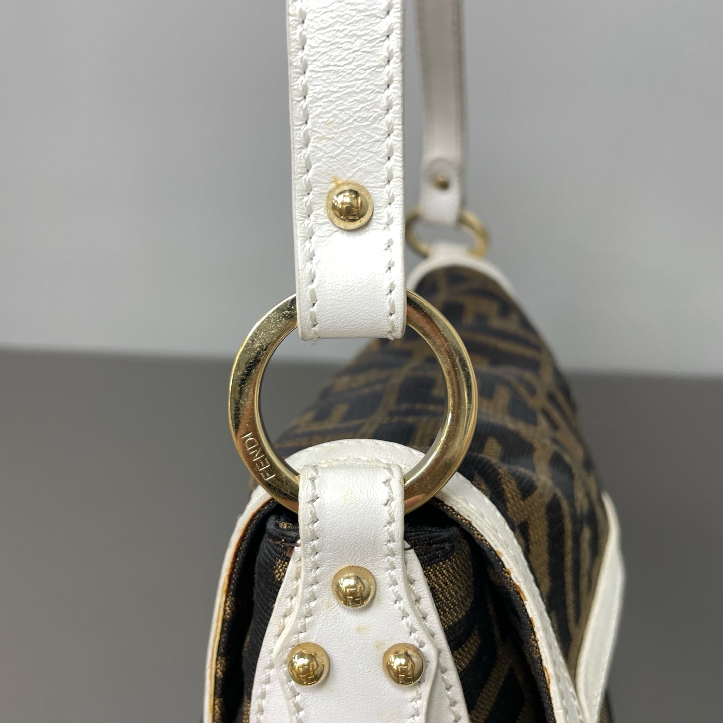 Fendi Canvas