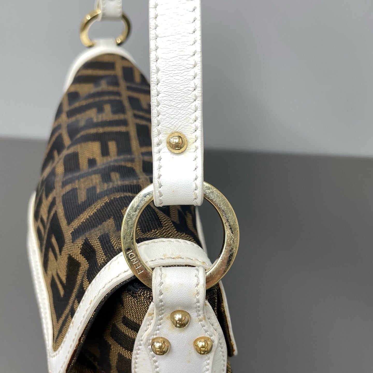 Fendi Canvas