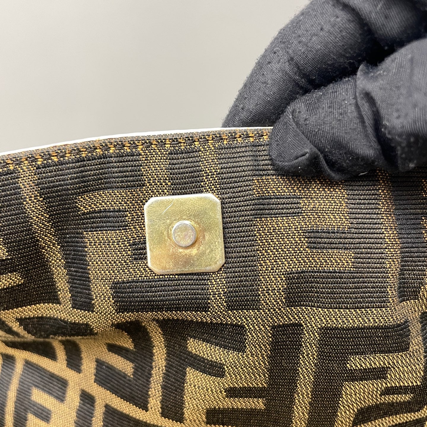 Fendi Canvas