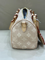 Louis Vuitton SPEEDY BANDOULIÈRE 20 Handbag Canvas Beige 13.5 x 12 x 20.5cm M15151