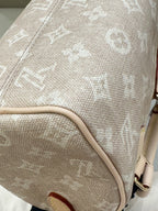 Louis Vuitton SPEEDY BANDOULIÈRE 20 Handbag Canvas Beige 13.5 x 12 x 20.5cm M15151