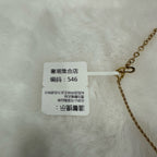 Dior Necklace
