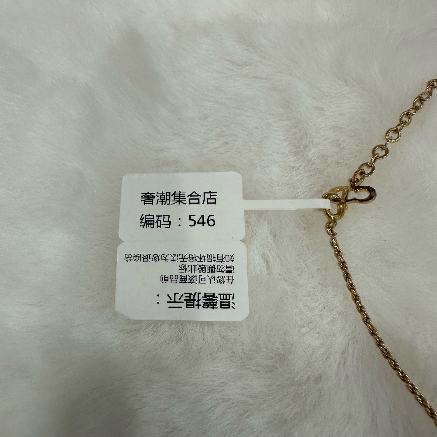 Dior Necklace