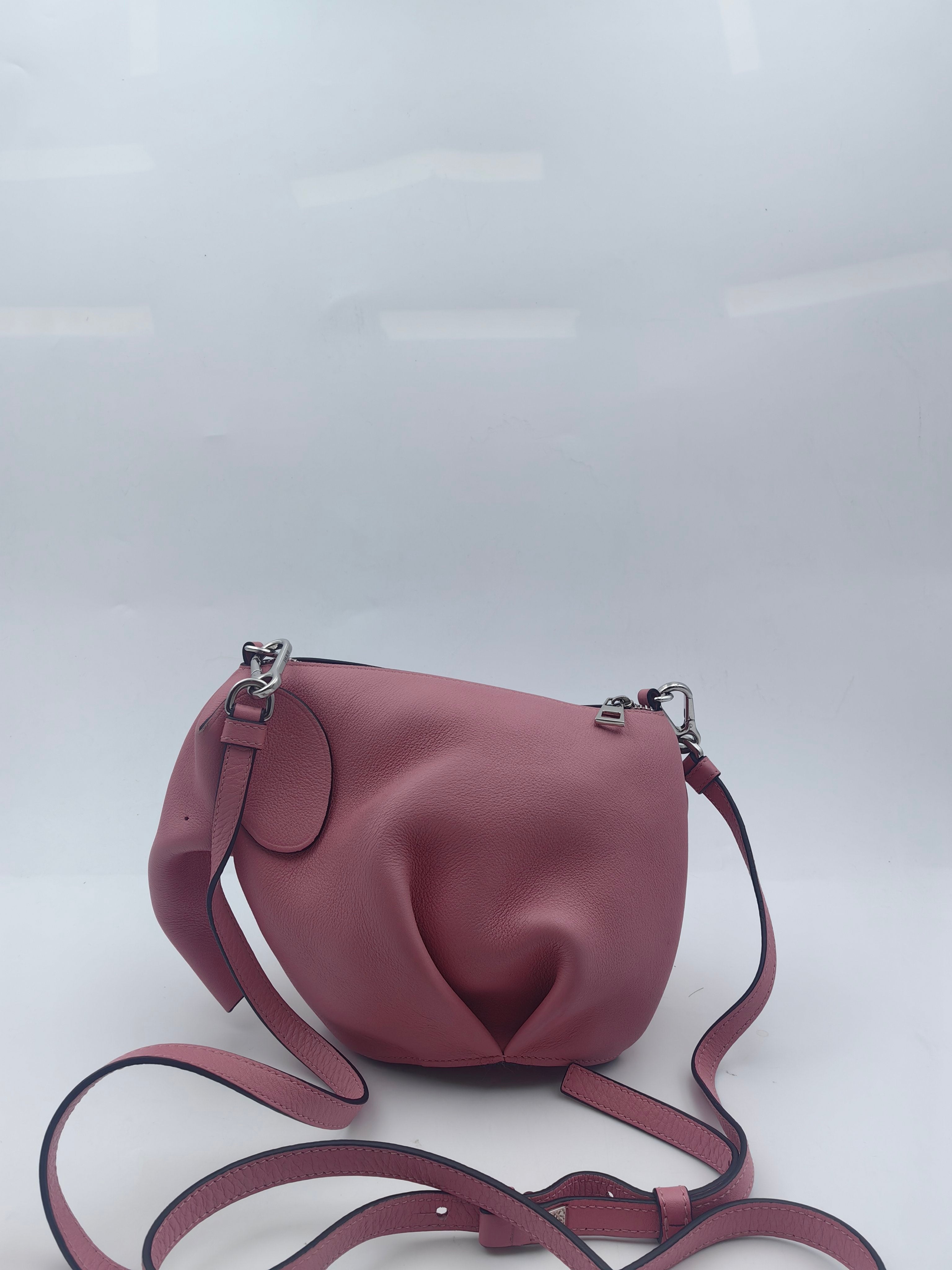 Loewe Pink Crossbody
