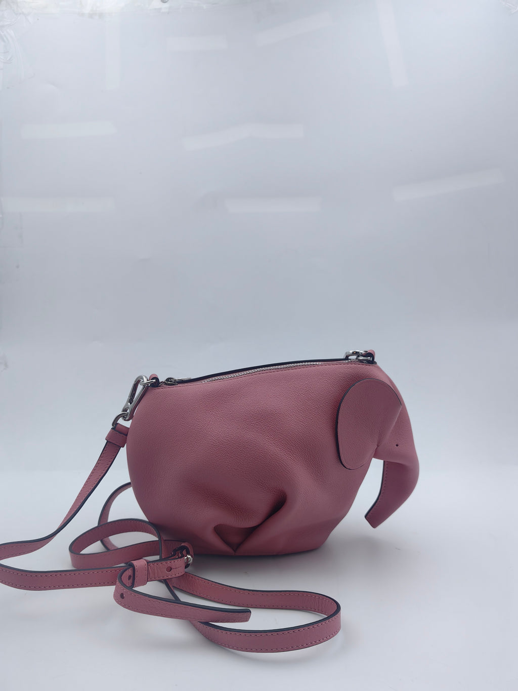 Loewe Pink Crossbody