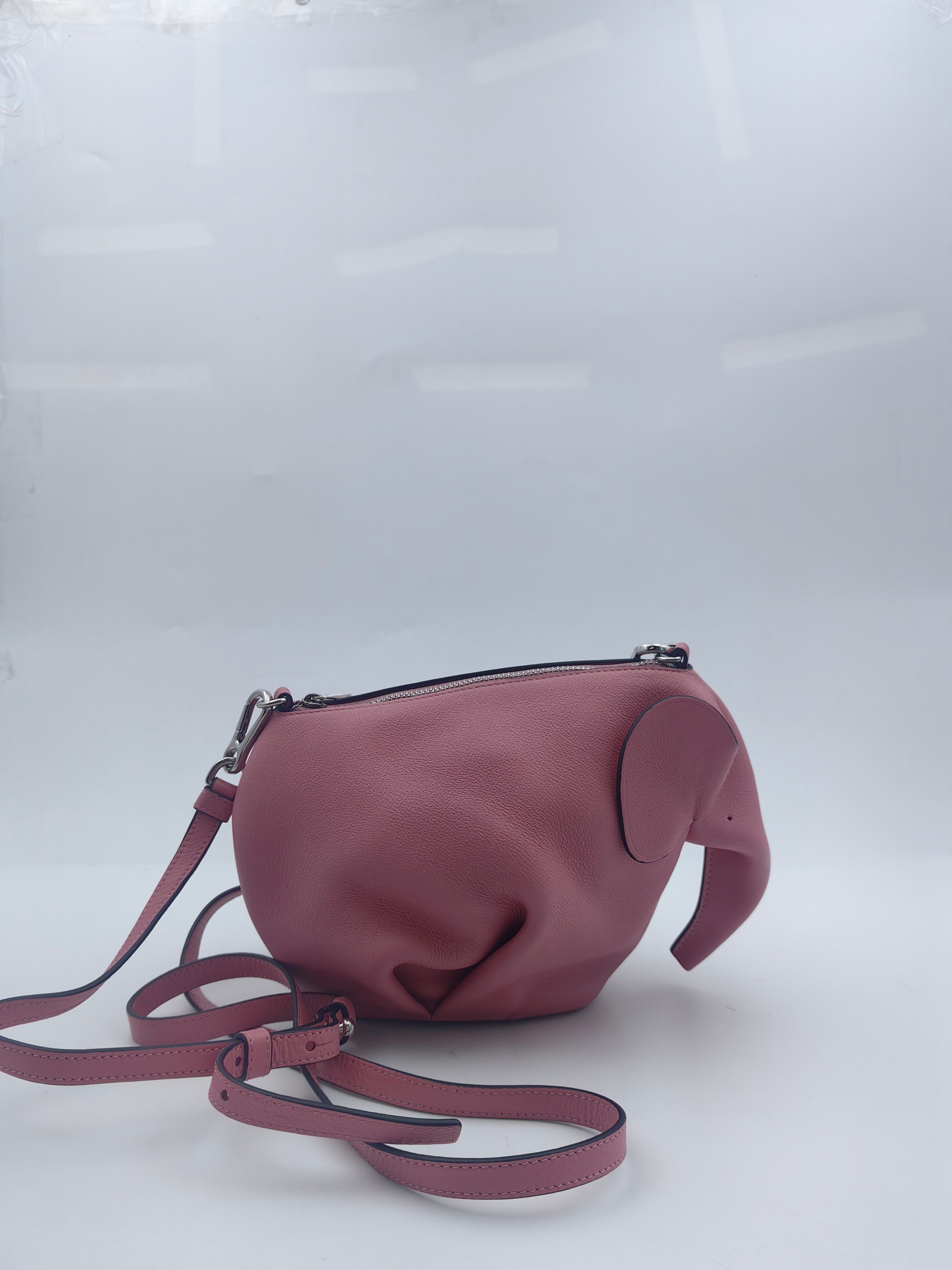 Loewe Pink Crossbody