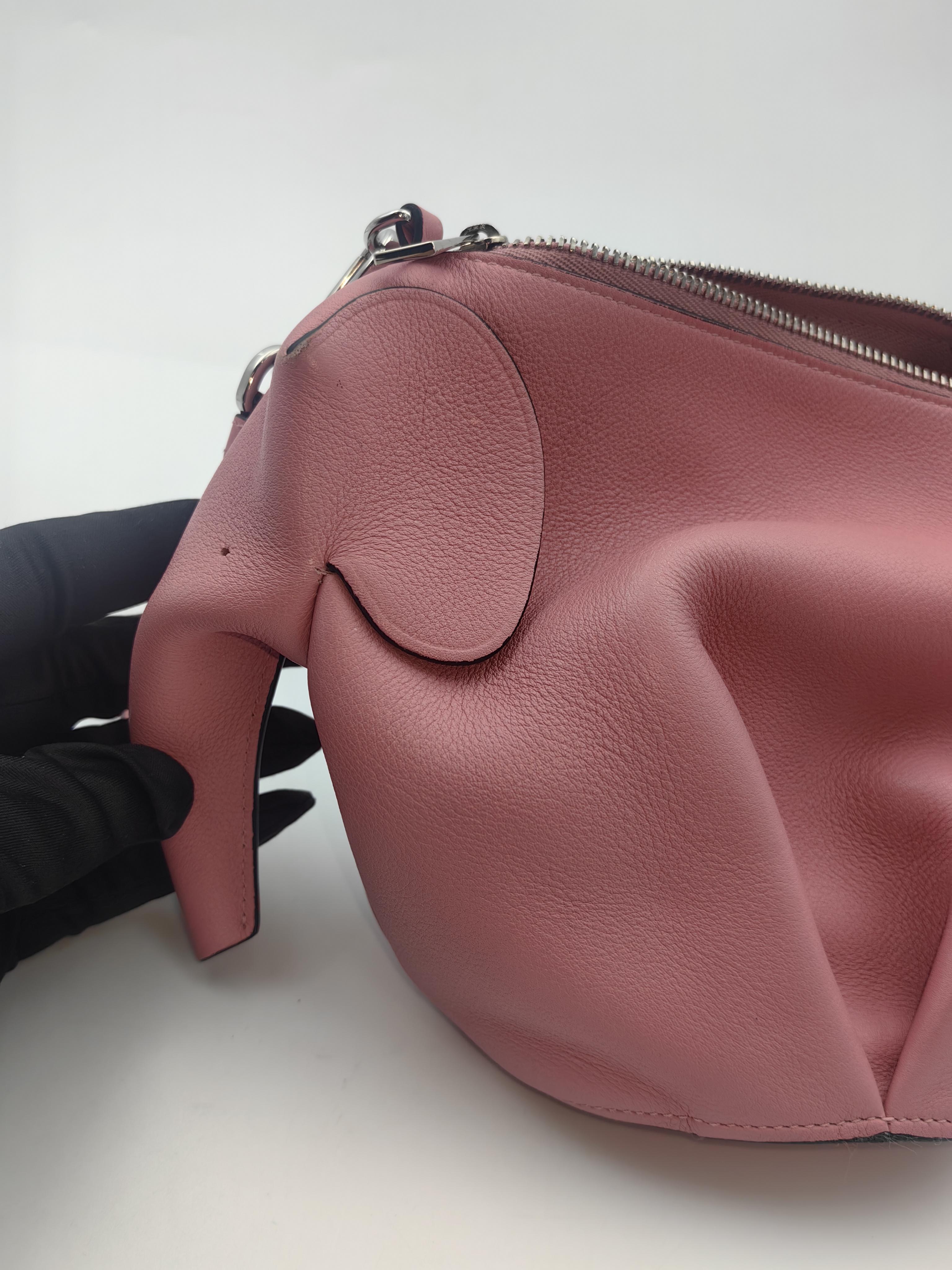 Loewe Pink Crossbody