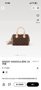 Louis Vuitton