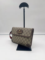 Gucci Belt Bag & Fanny Pack