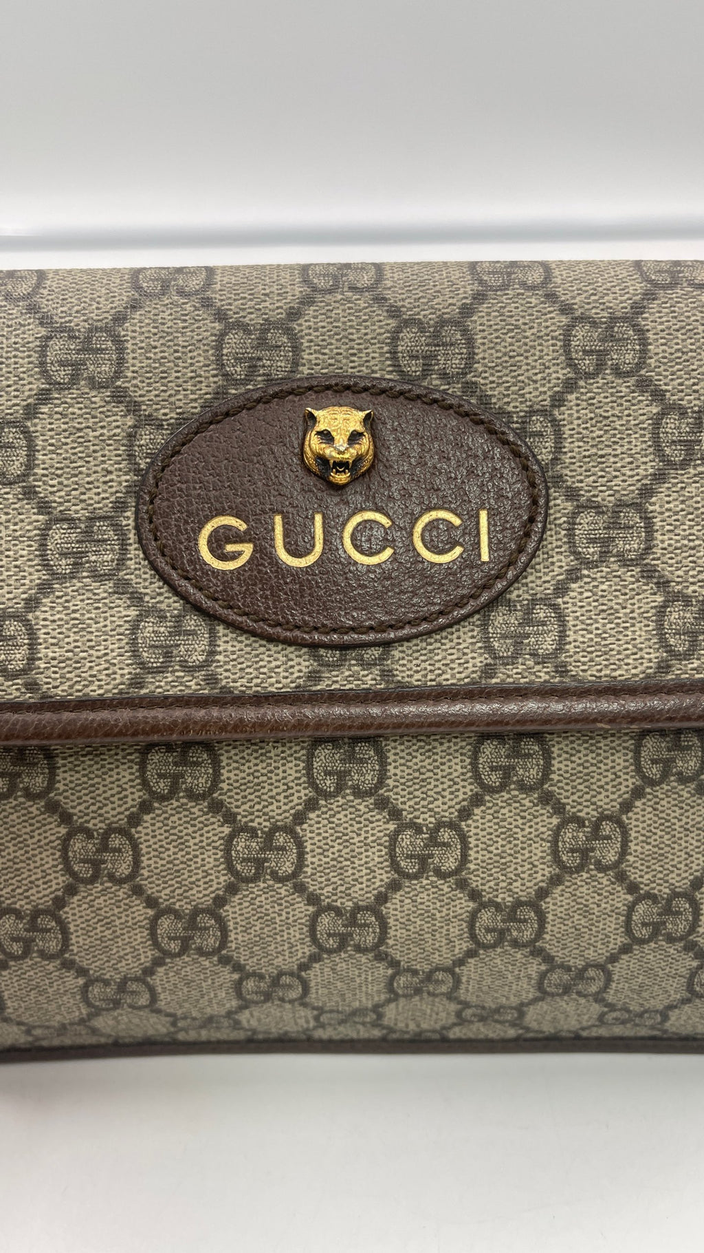 Gucci Belt Bag & Fanny Pack